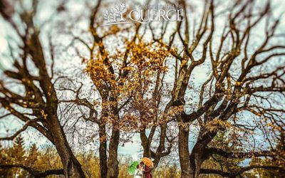 Allestimento matrimonio invernale: Valerio e Aurora’s wedding